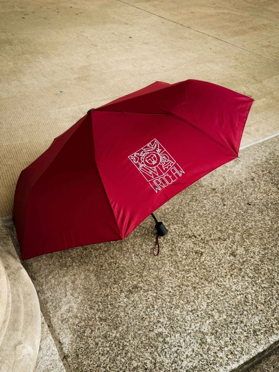 Parasol Wrocław bordowy składany